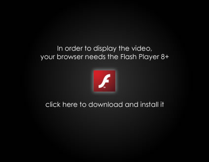 getFlash