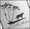 Digger's Bluff